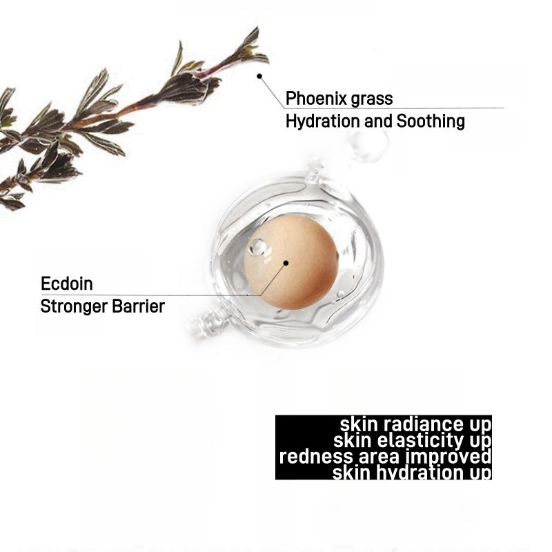 Essence Lotion Pad 120g