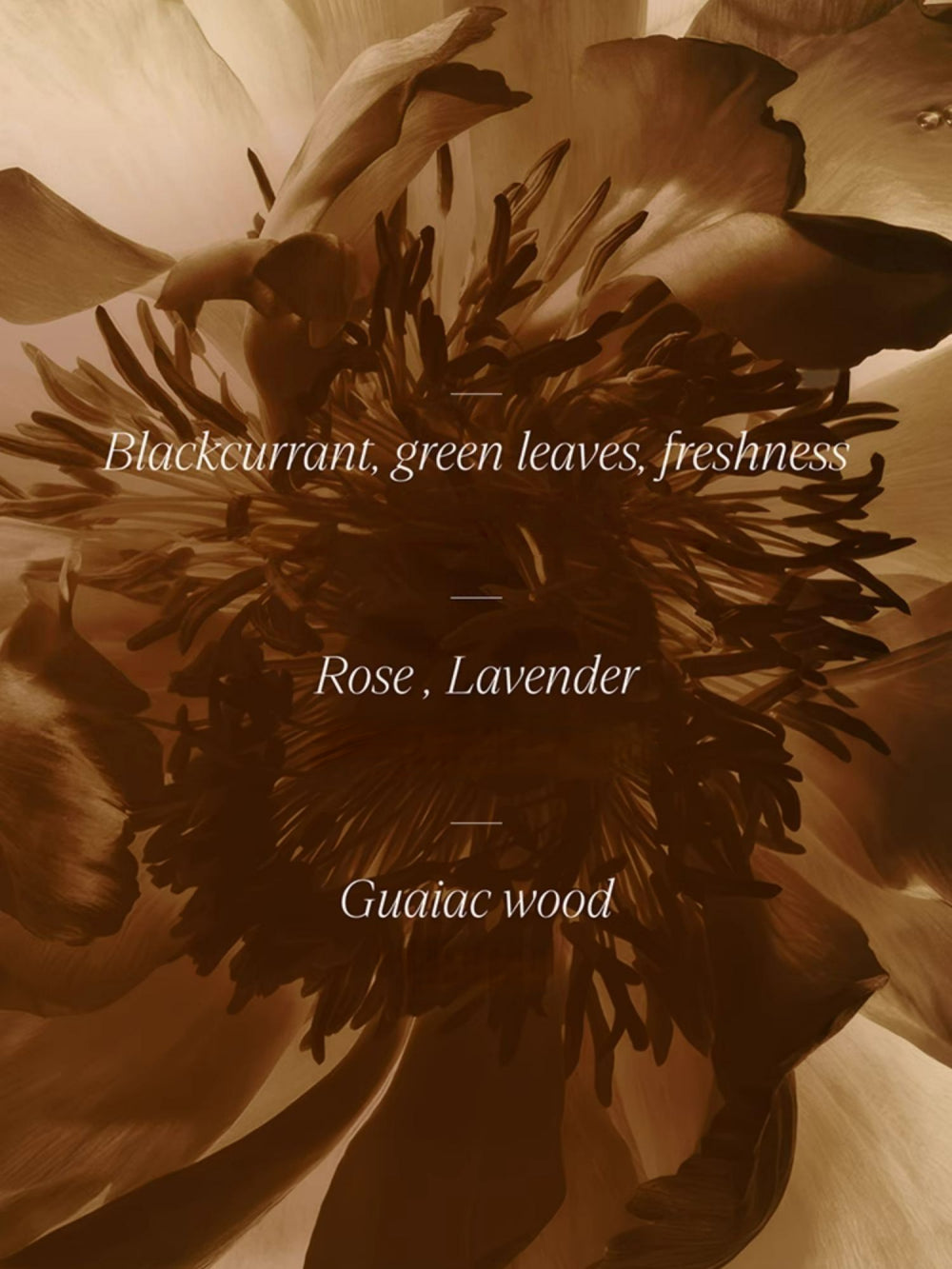 AFU - Mummy Anti-wrinkle Facial Oil 0.35ml*21