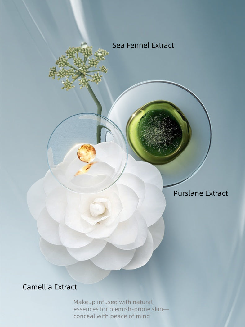 Haruki Concealer Palette #CP400 6.8g