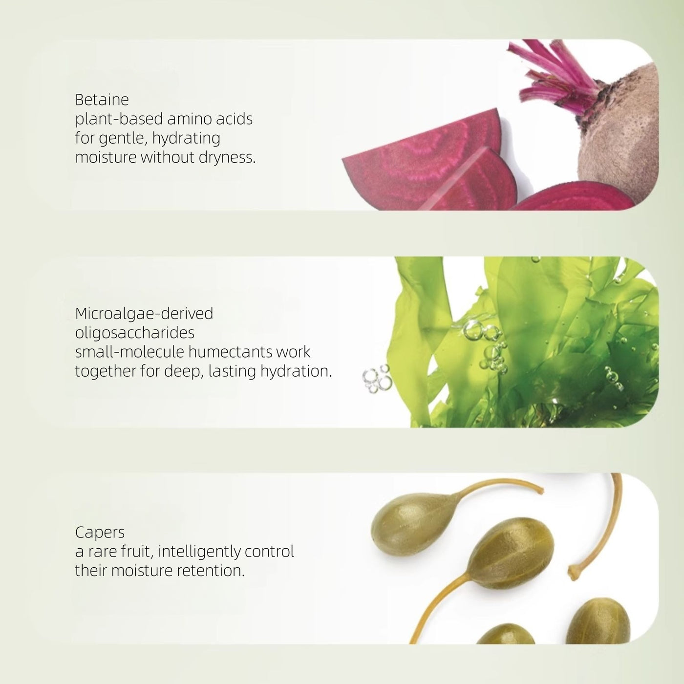 ZHUBEN - Dream River Cleanser 100g